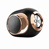 OlivLife X6 Speaker
