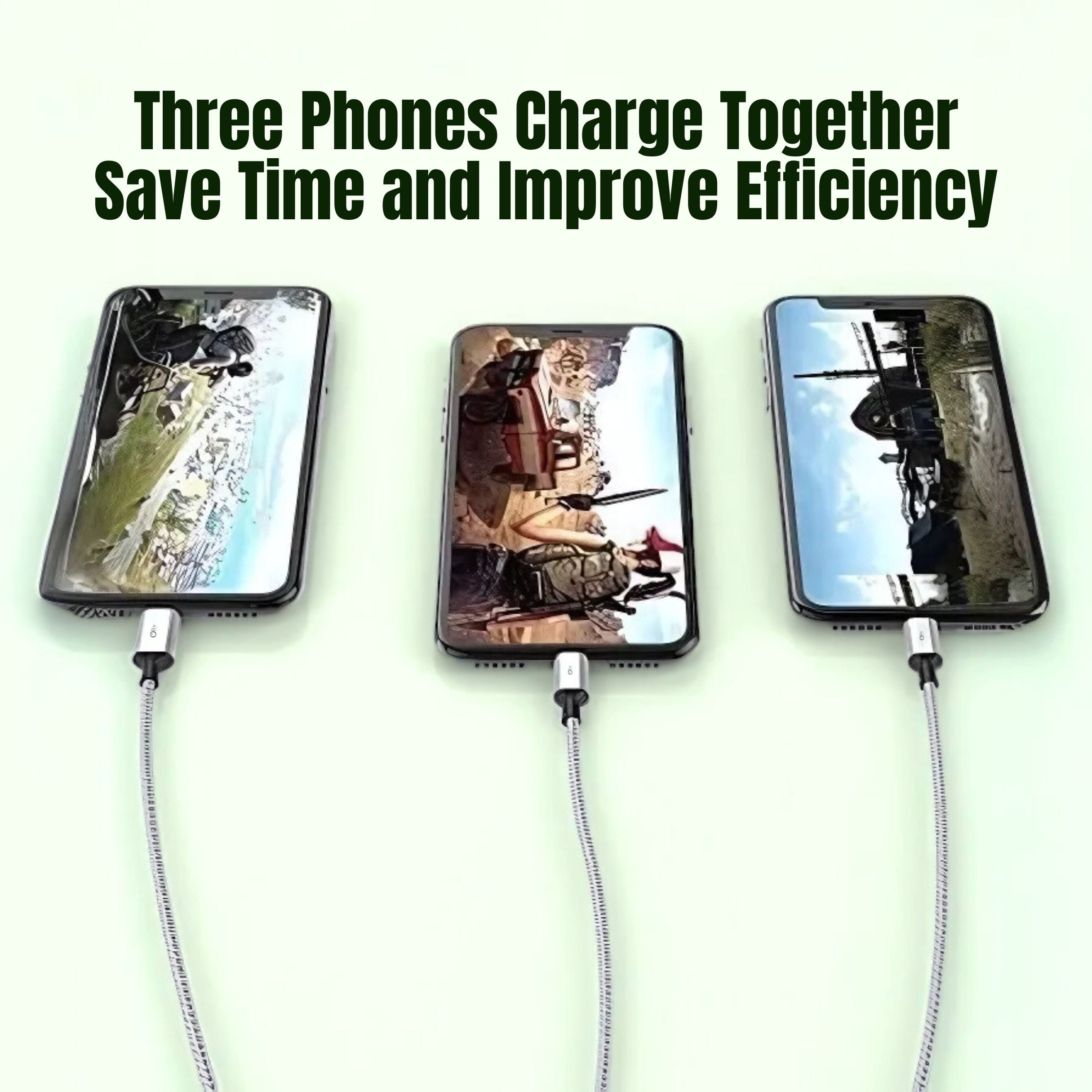 OlivLife 3 IN 1 Charging Cable (GREY)