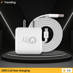 OlivLife Universal Smart Phone Charger Cable (12W & Type-C)