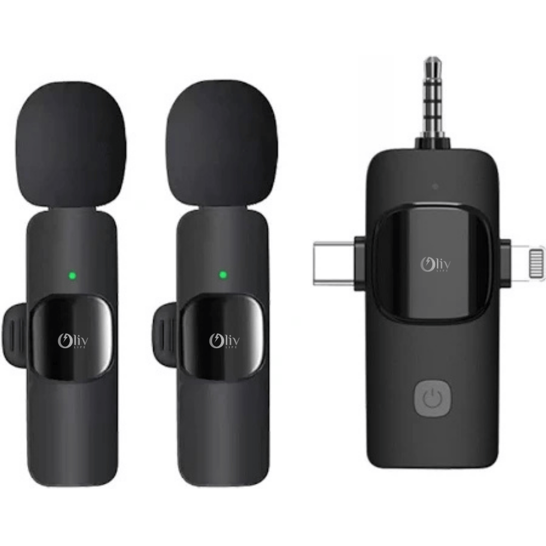 Portable Mic & Speaker