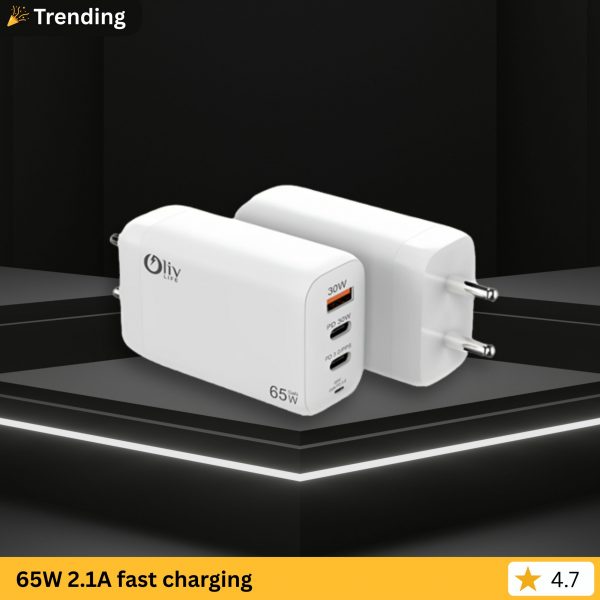 OlivLife 65W Charger